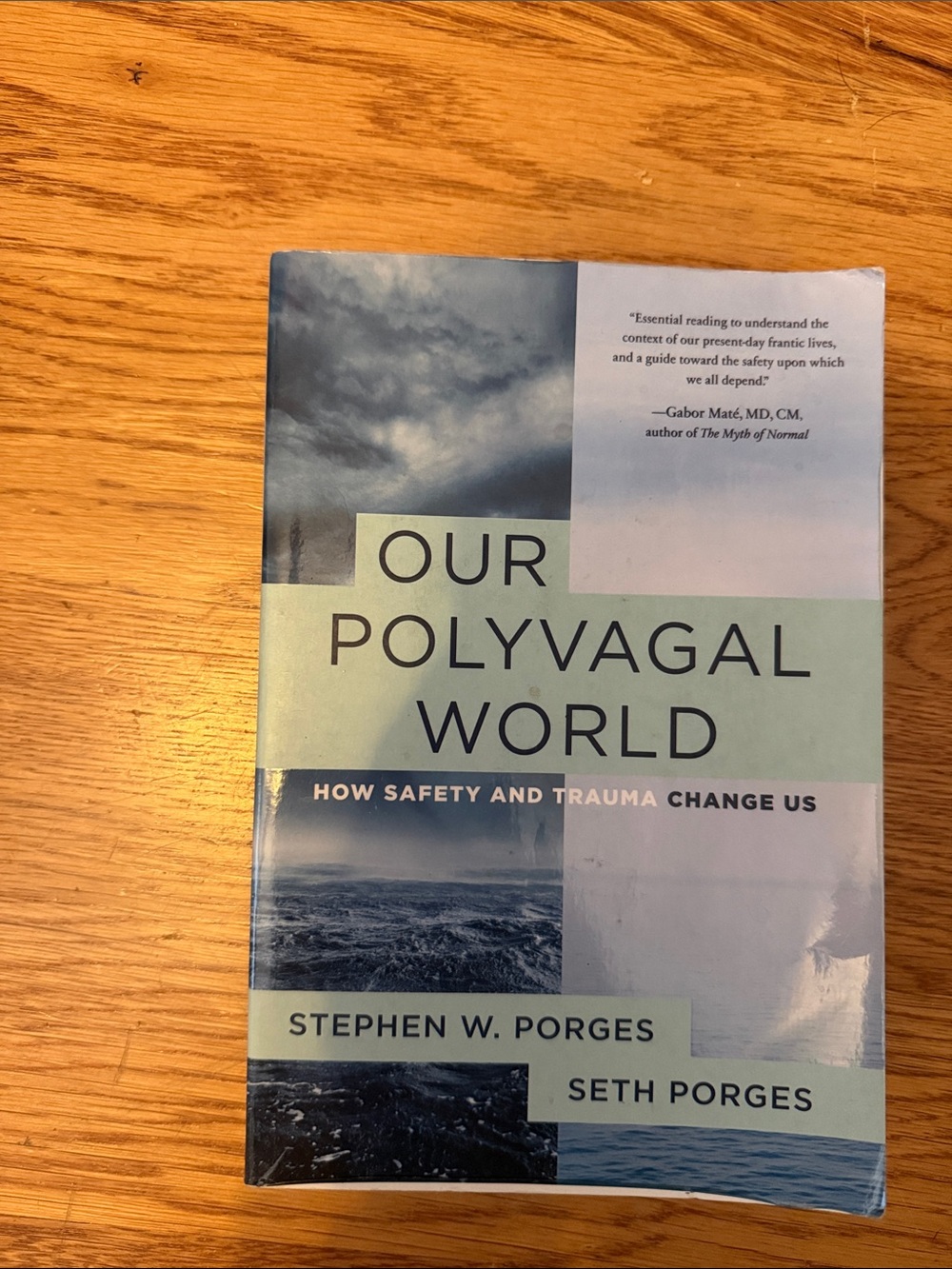 Our Polyvagal World by Stephen W. Porges - Blue/Teal Cover